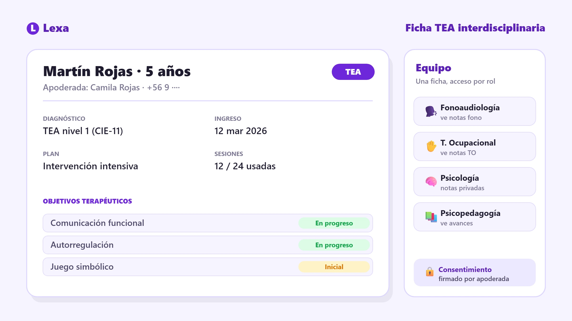 Ficha TEA interdisciplinaria Ficha TEA compartida por el equipo interdisciplinario, con objetivos y avances